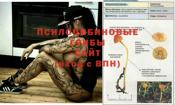 mdpv Белоозёрский