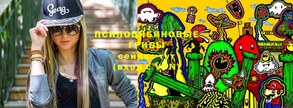 первитин Белокуриха