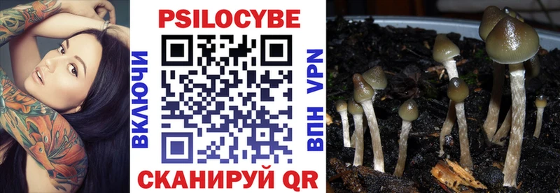 наркотики  Холмск  Псилоцибиновые грибы прущие грибы 